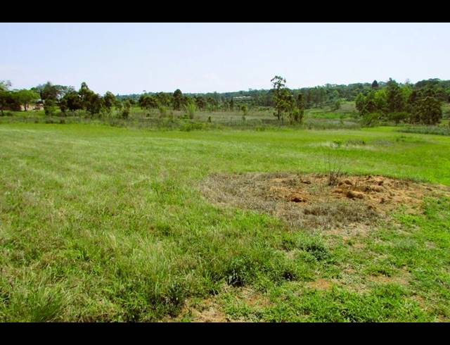 LAND FOR SALE IN WHITE RIVER ESTATES